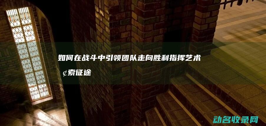 如何在战斗中引领团队走向胜利 指挥艺术 探索 征途 (如何在战斗中mega进化)