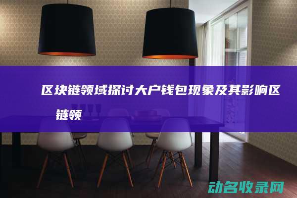 区块链领域 探讨大户钱包现象及其影响 (区块链领域探索的意义)